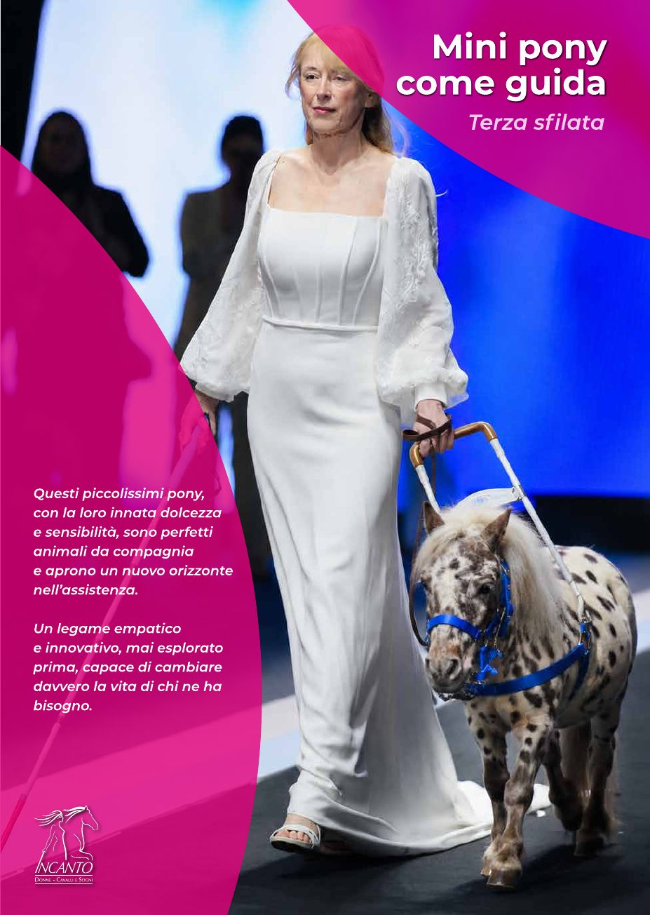 Brochure, pagina 8 – Mini pony come guida
