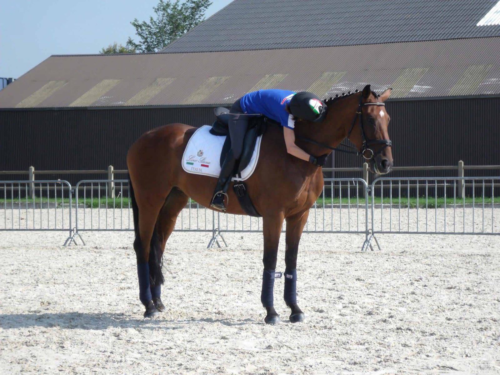 Sara Morganti abbraccia il suo cavallo
